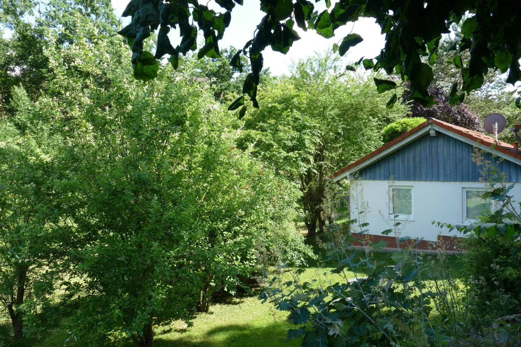 Landleben - Ferienhaus 2 Fritzlar Zewnętrze zdjęcie