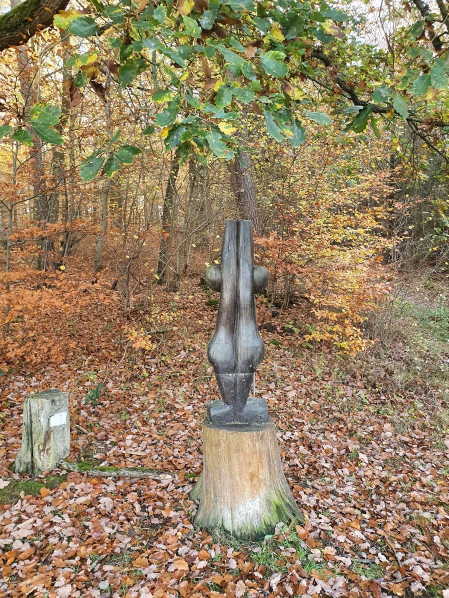 Landleben - Ferienhaus 2 Fritzlar Zewnętrze zdjęcie